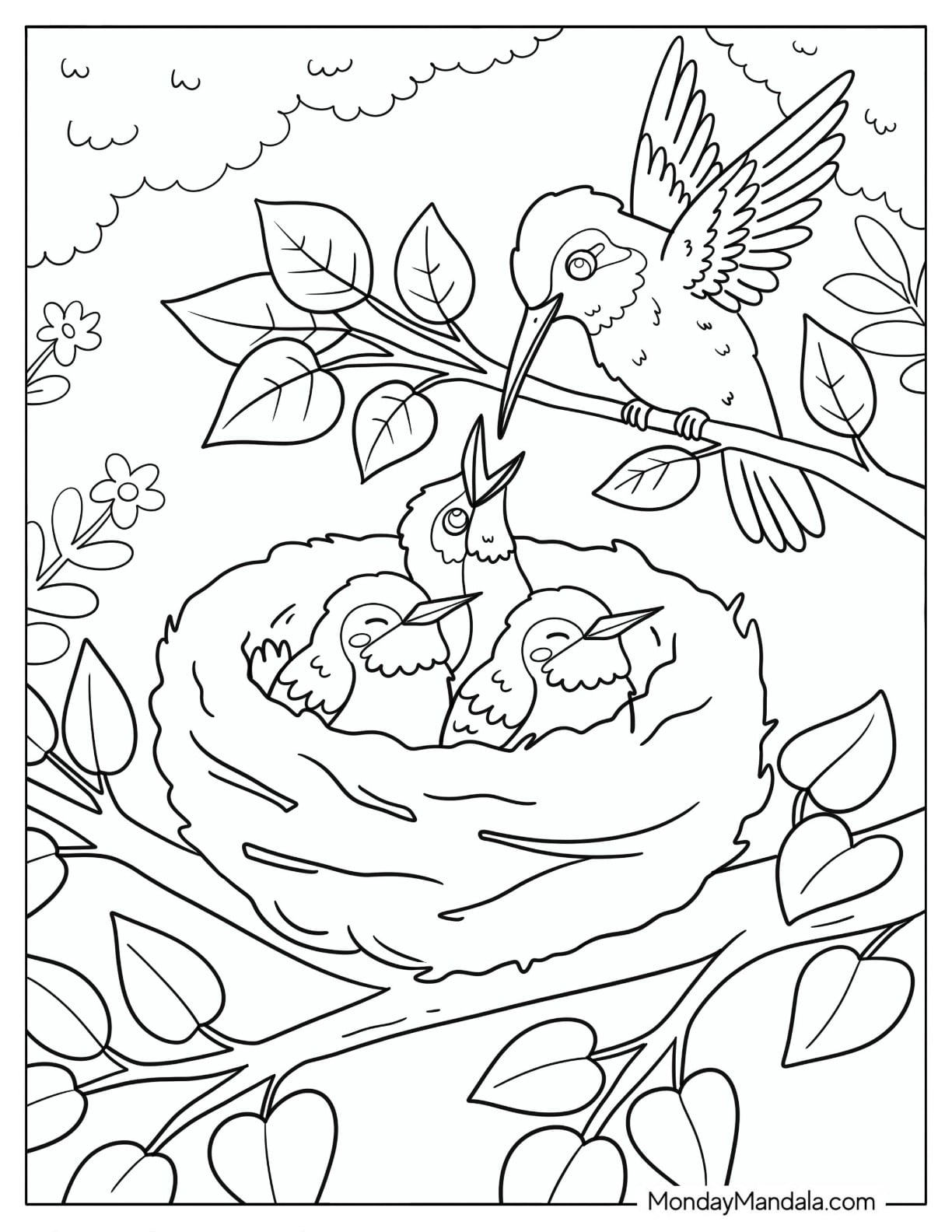 Hummingbird Feeding Its Chicks in a Nest Coloring Sheet