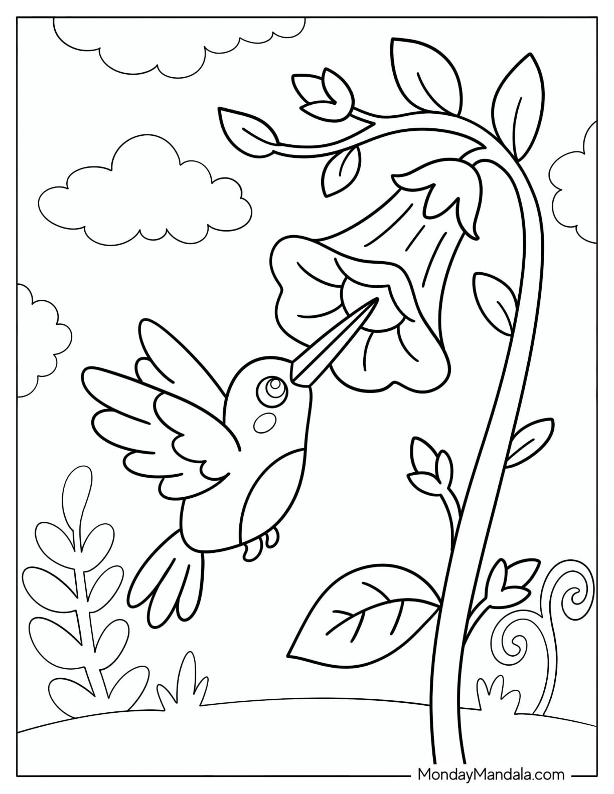 Hummingbird Feeding from a Hanging Trumpet Flower Coloring Page