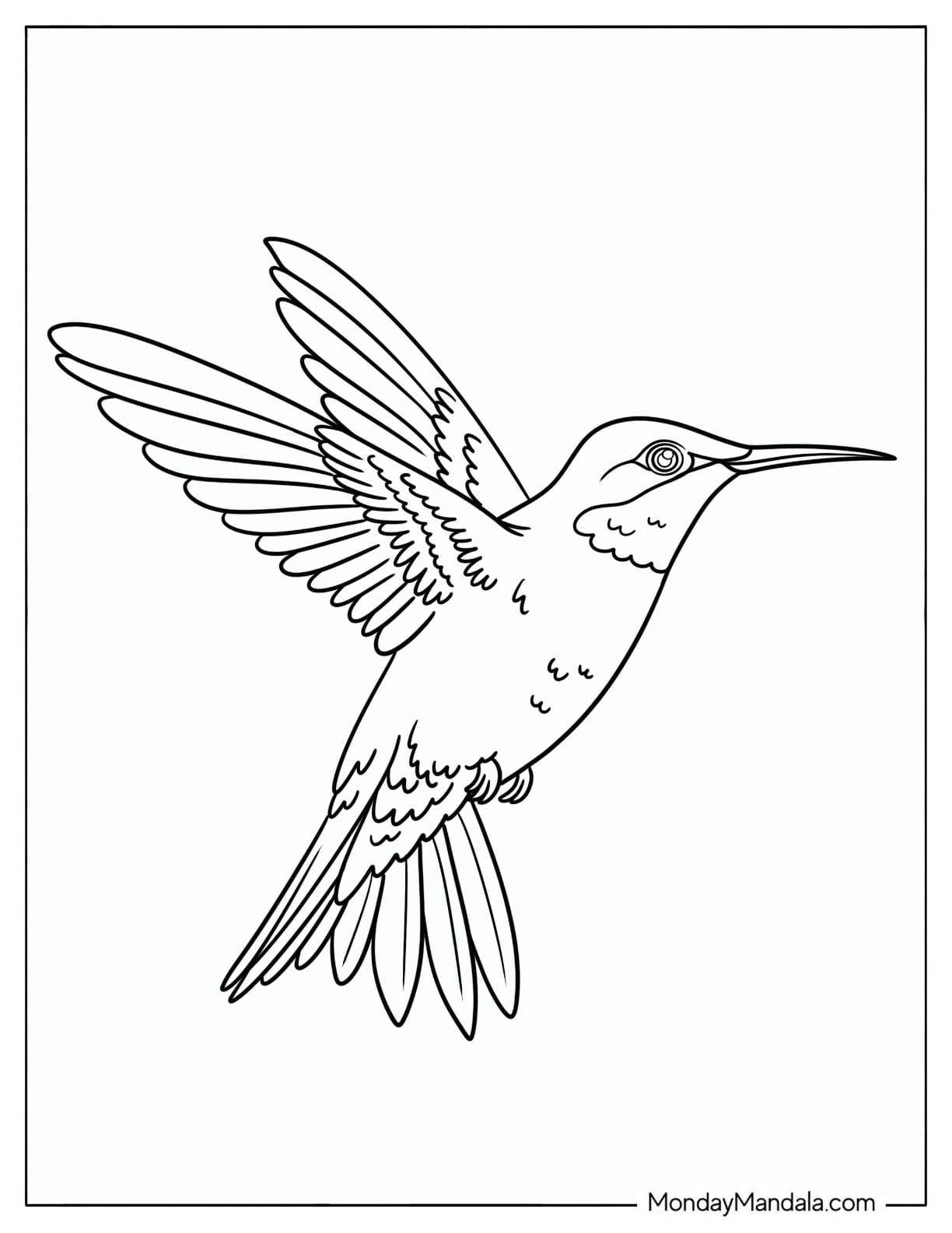 Hummingbird Hovering with Outstretched Wings
