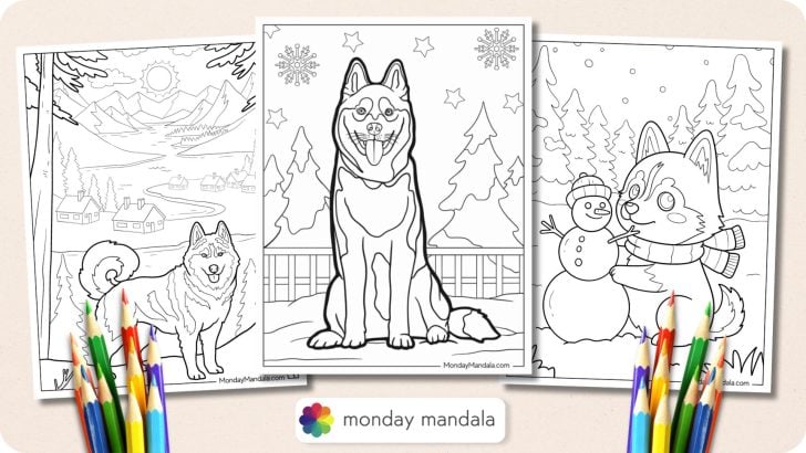 Husky Coloring Pages Featured Image v3