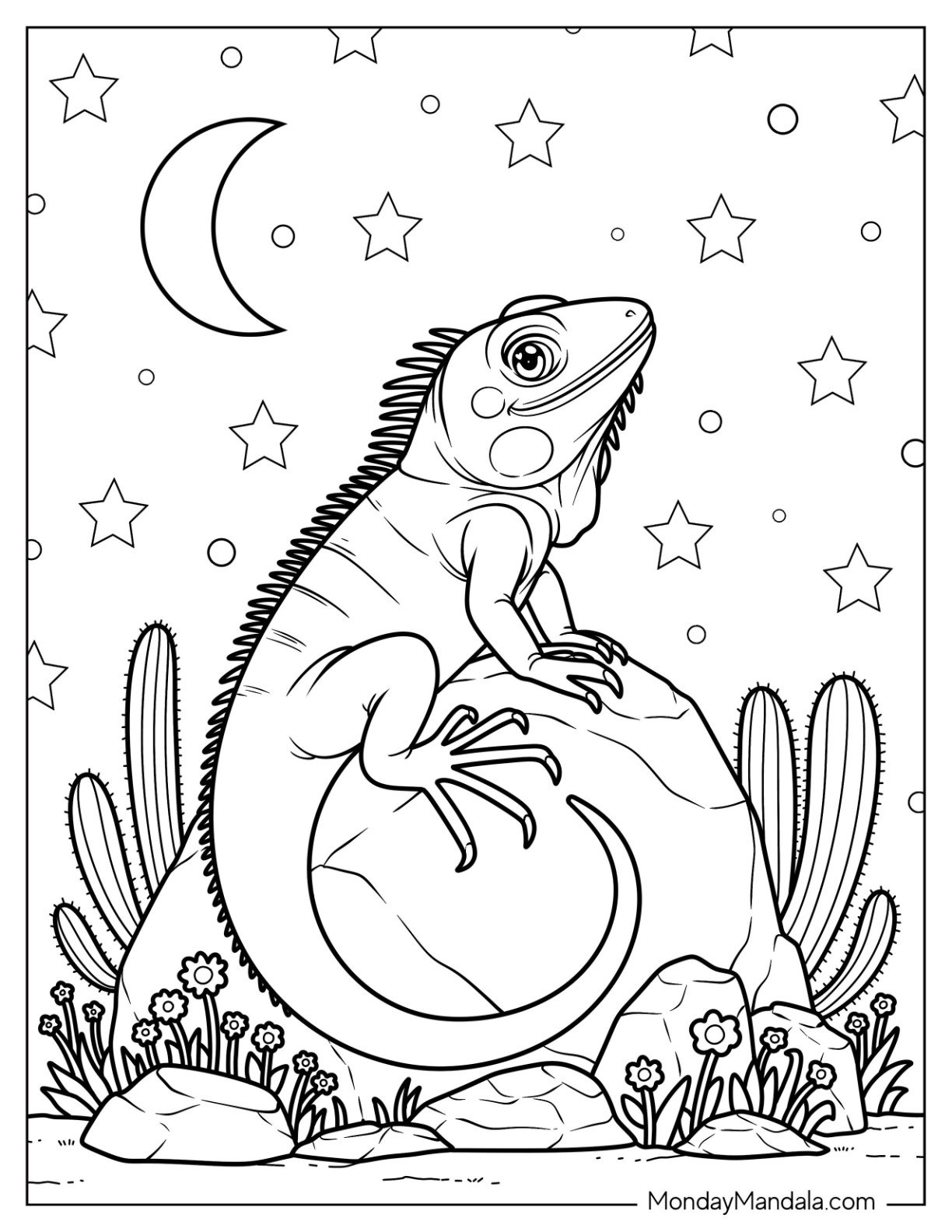 Iguana Coloring Page on a Rock Stargazing