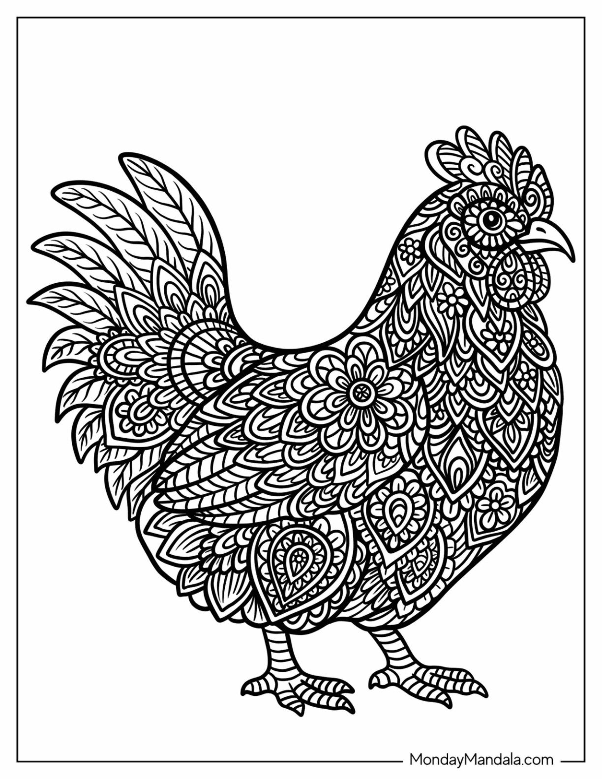 Intricate Chicken Coloring Page Mandala With Decorative Feathers