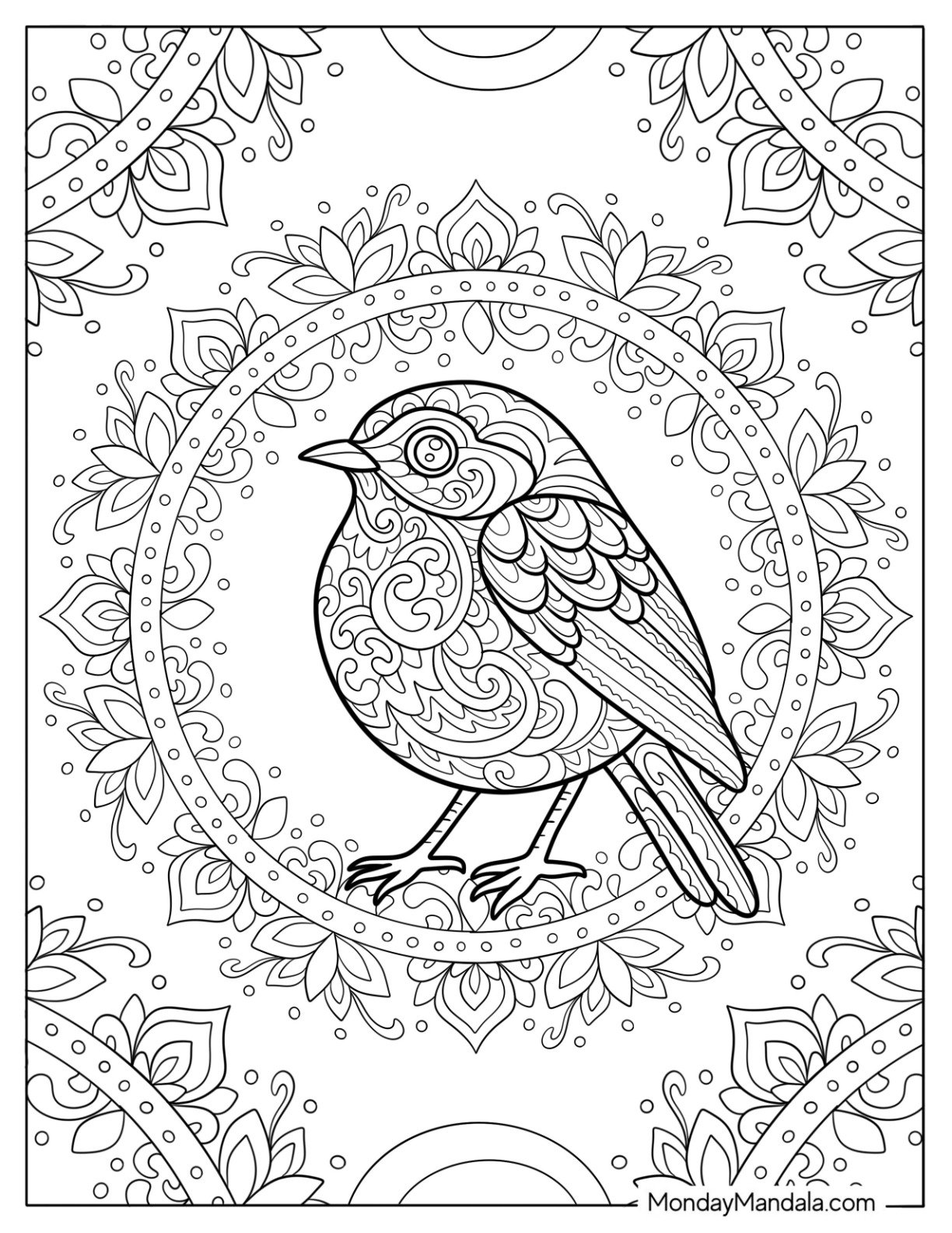 Intricate Robin Coloring Page in Mandala Design Surrounded by Petals and Swirls