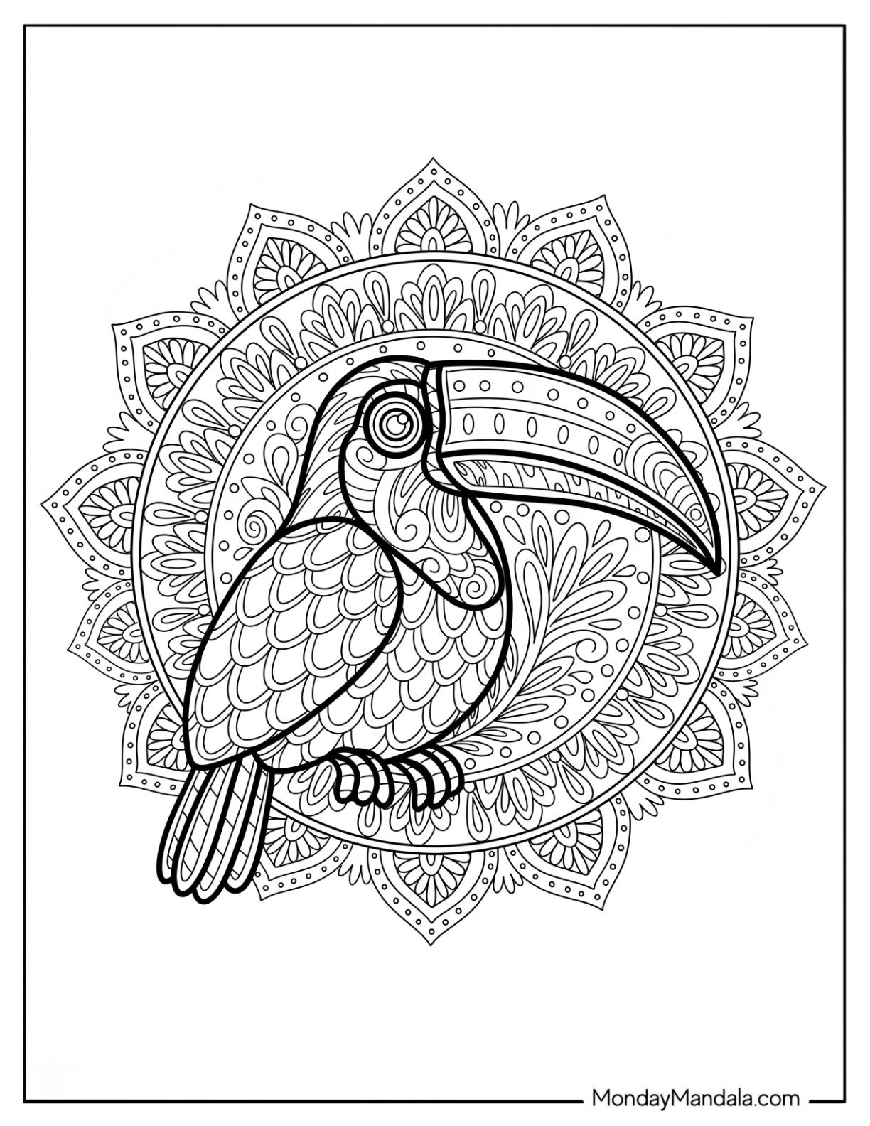 Intricate Toucan Coloring Page Mandala with Floral Patterns