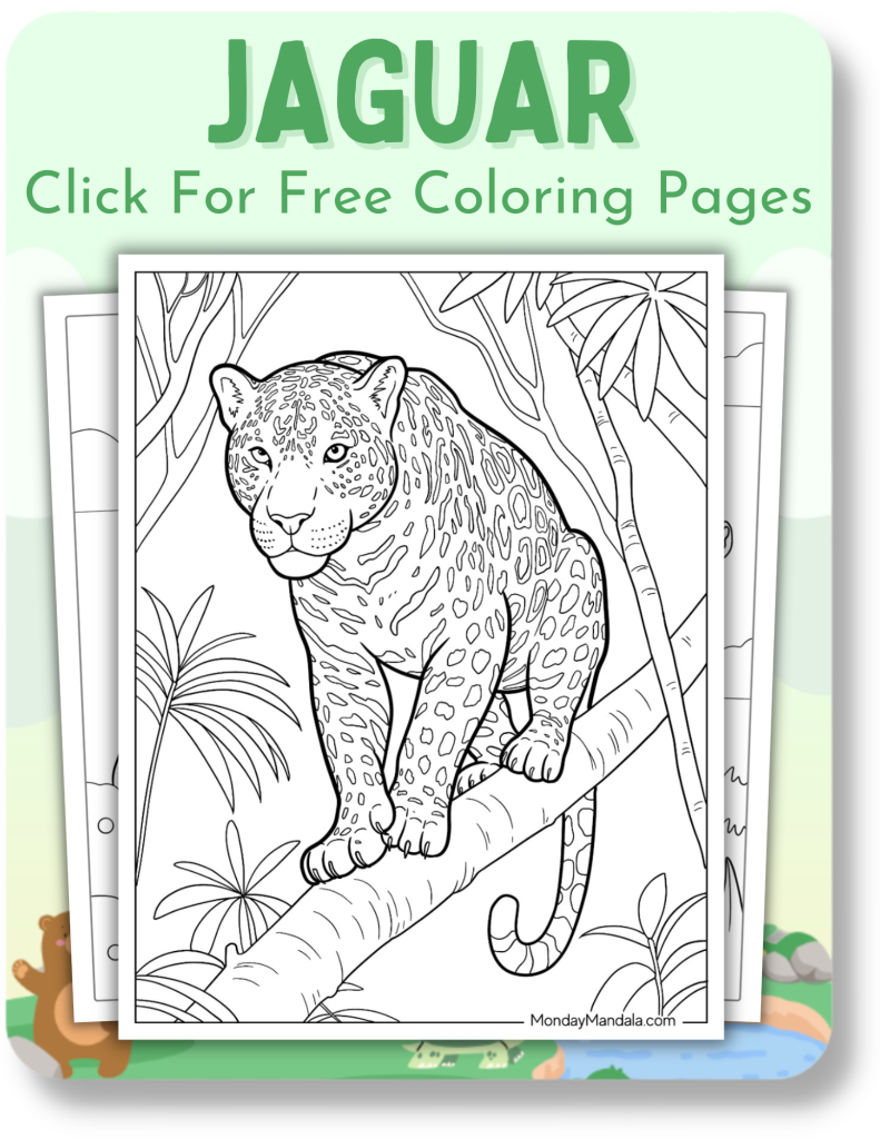 Jaguar Coloring Pages for Animal