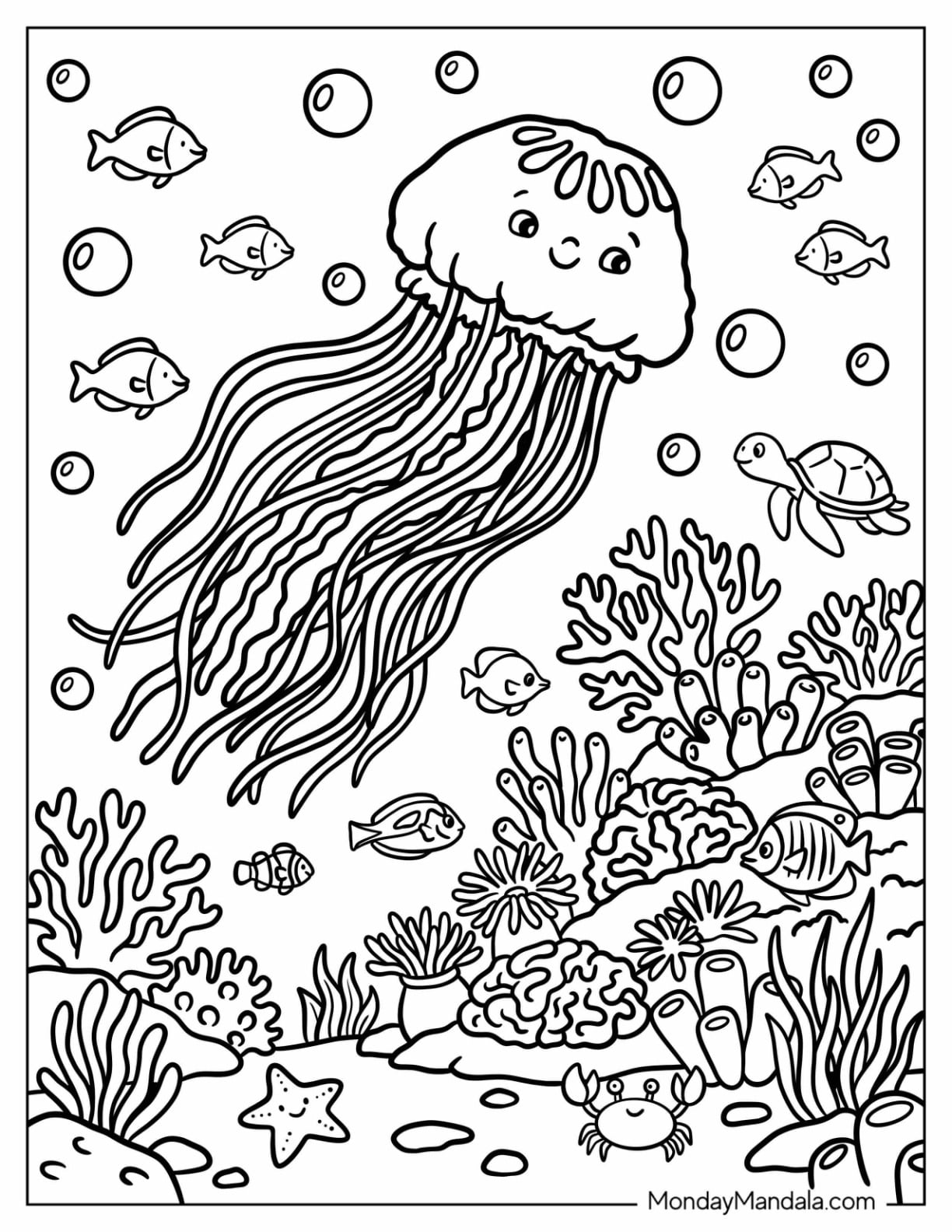 Jellyfish with Many Tentacles Swimming on a Reef