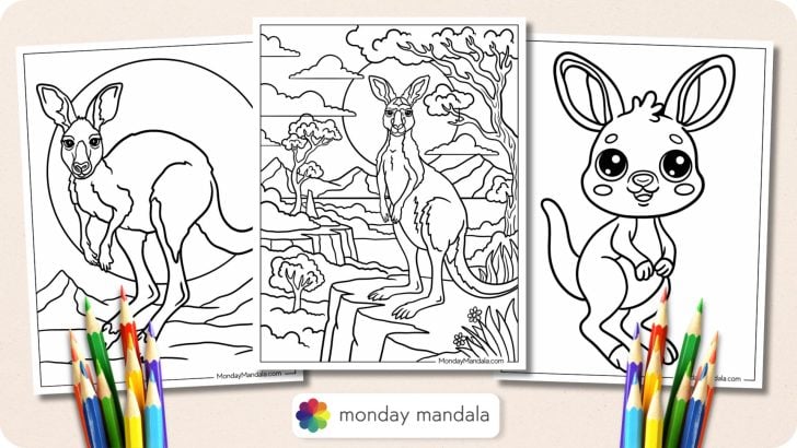Kangaroo Coloring Pages Featured Image v2