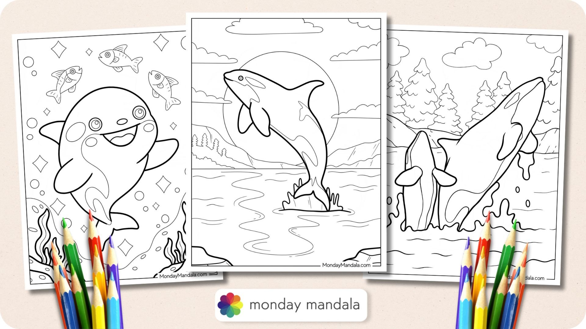 Killer Whale Coloring Pages Featured Image v2
