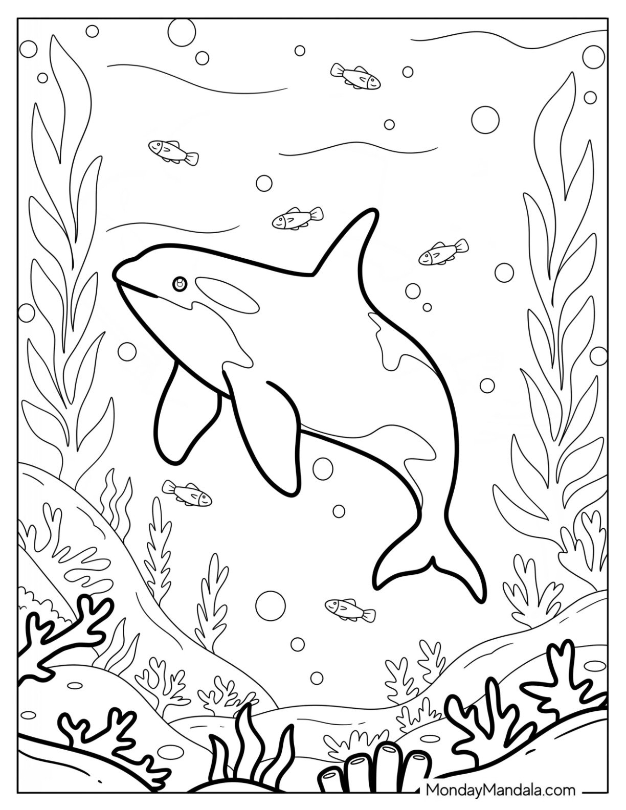 Killer Whale Exploring an Ocean Habitat Full of Fish Coloring Sheet