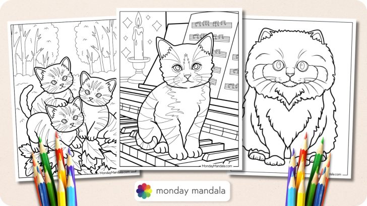 Kitten Coloring Pages Featured Image v2
