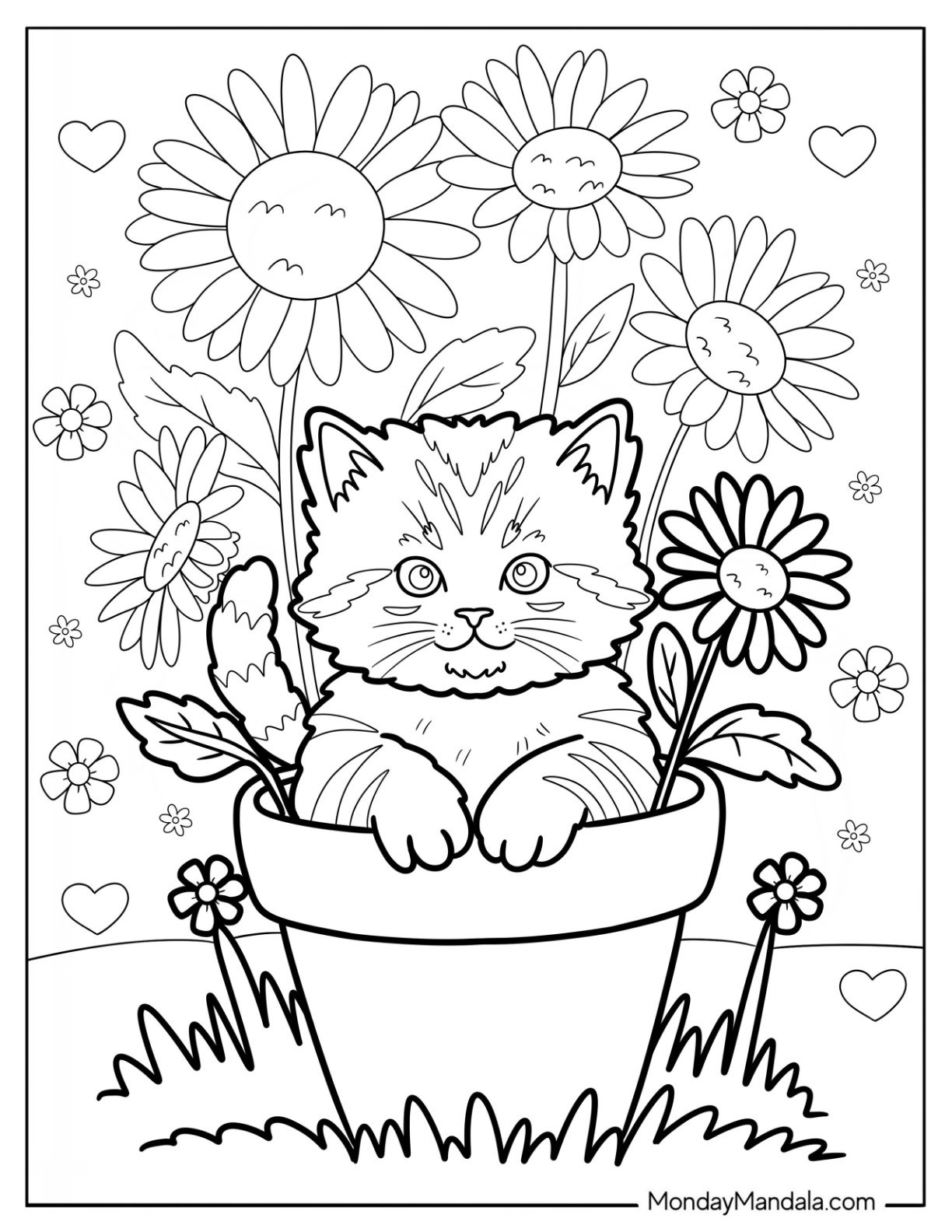 Kitten Coloring Page in a Flower Pot with Sunflowers