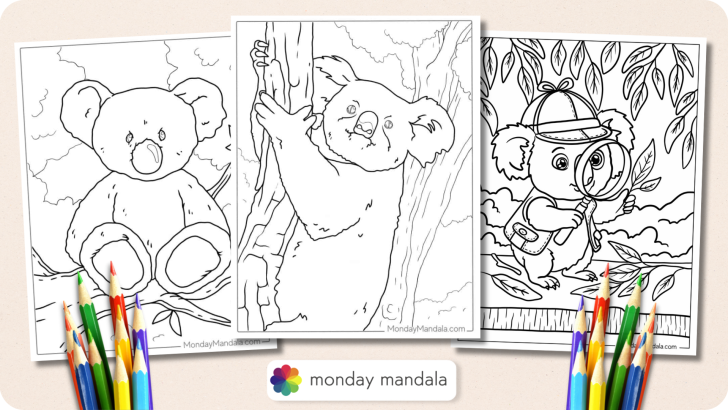 Koala Coloring Pages Featured Image v2