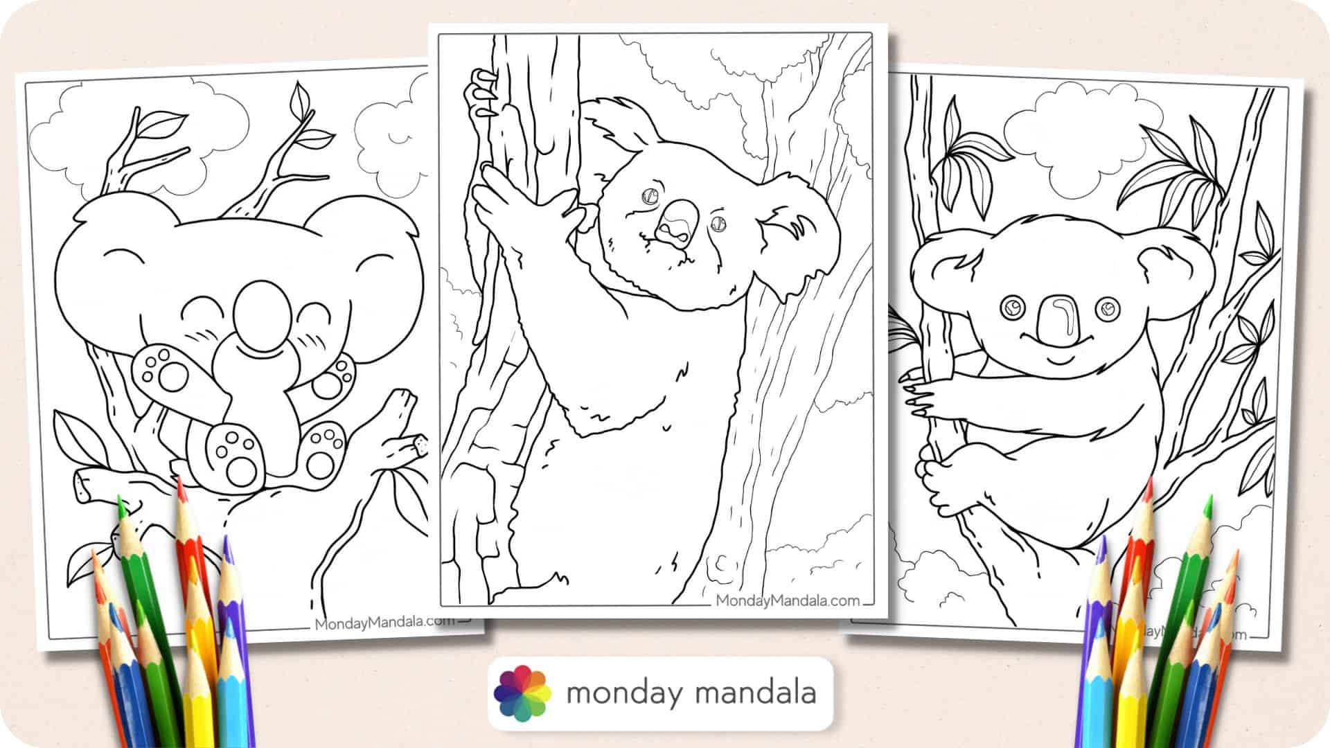 koala drawing for kids