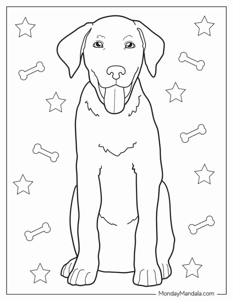 Dog Coloring Types Pdf Infoupdate Dog Coloring Types Pdf Infoupdate