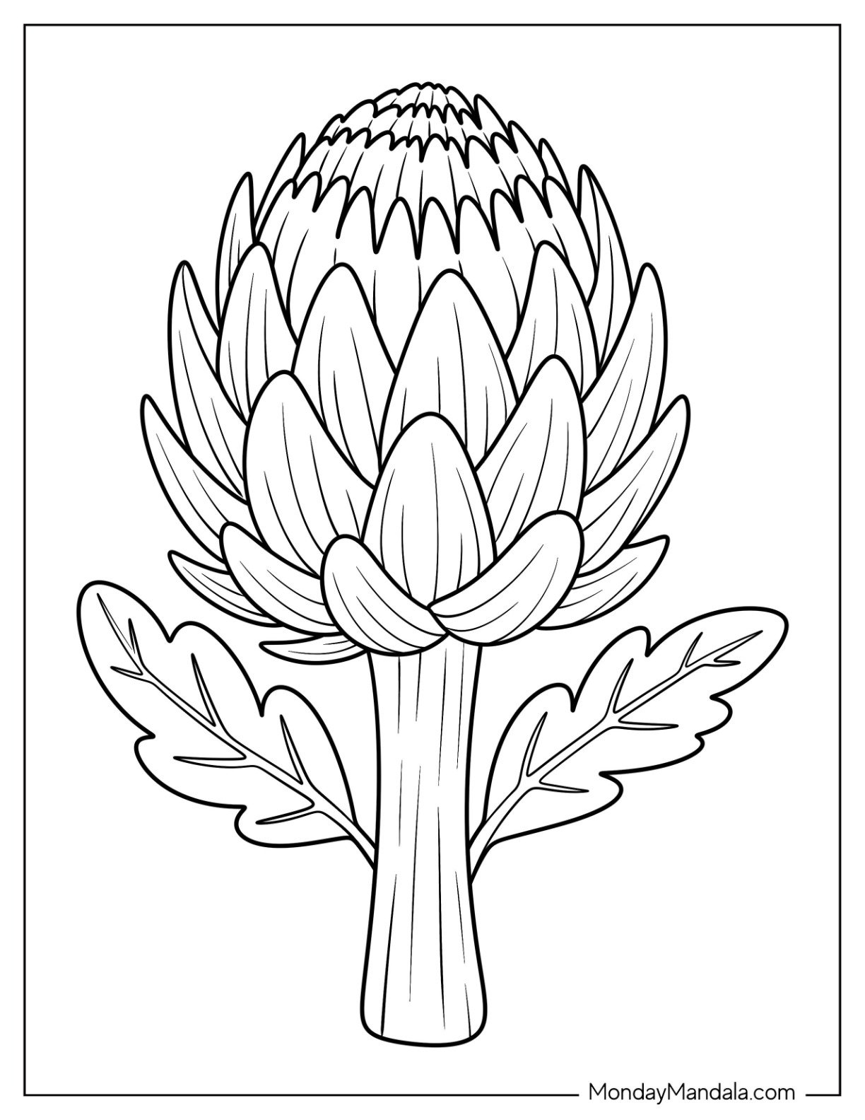 Large Artichoke Vegetable Coloring Page Outline for Kids