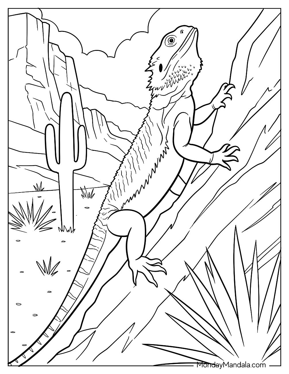 Large Bearded Dragon Coloring Page Climbing a Rock