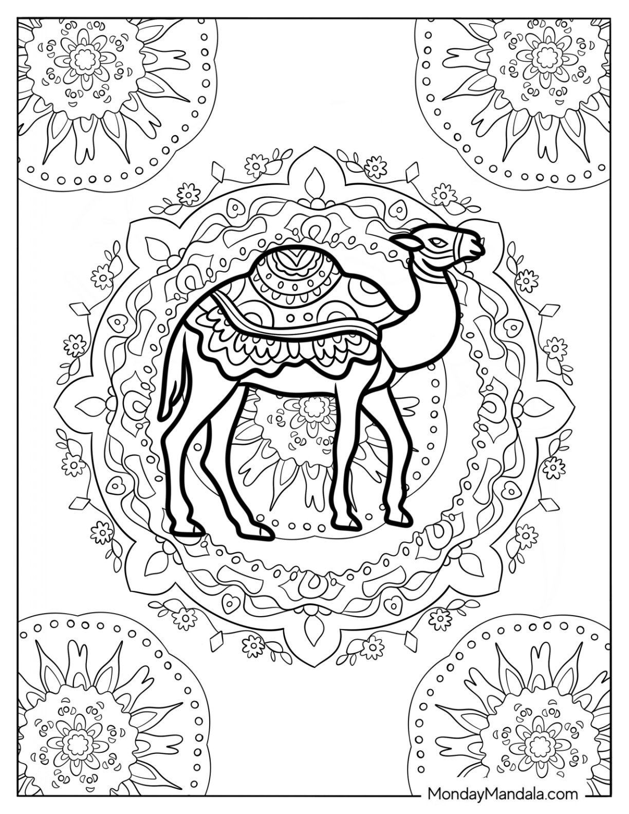 Large Camel Coloring Page In Front Of A Flower Mandala