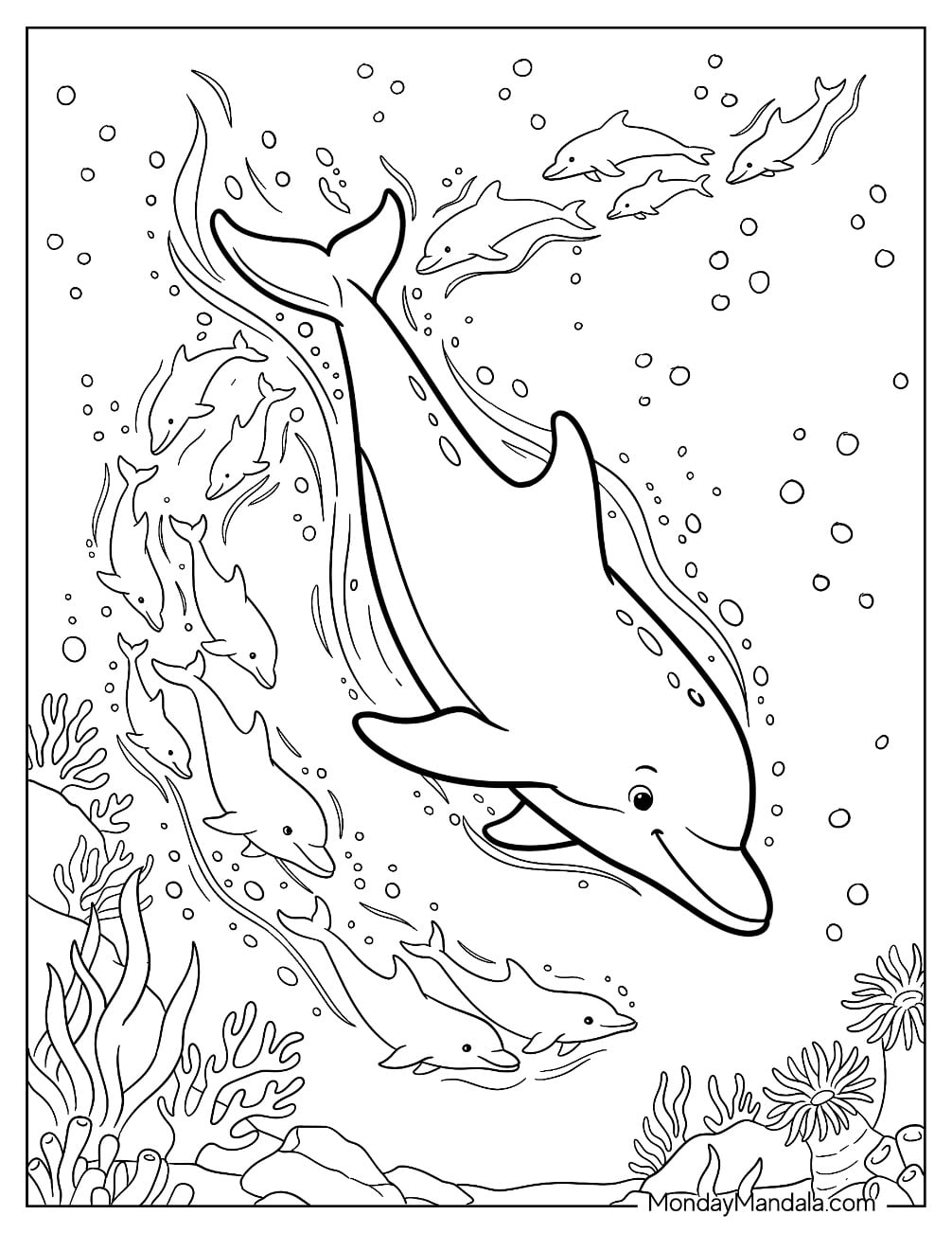 Large Dolphin Swimming Deep Into The Sea
