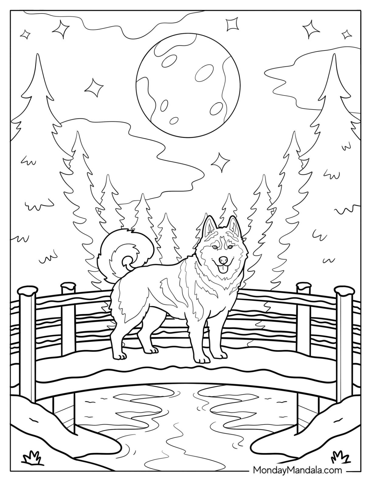Large Husky Coloring Pages Standing Next to a Fence on Starry Night