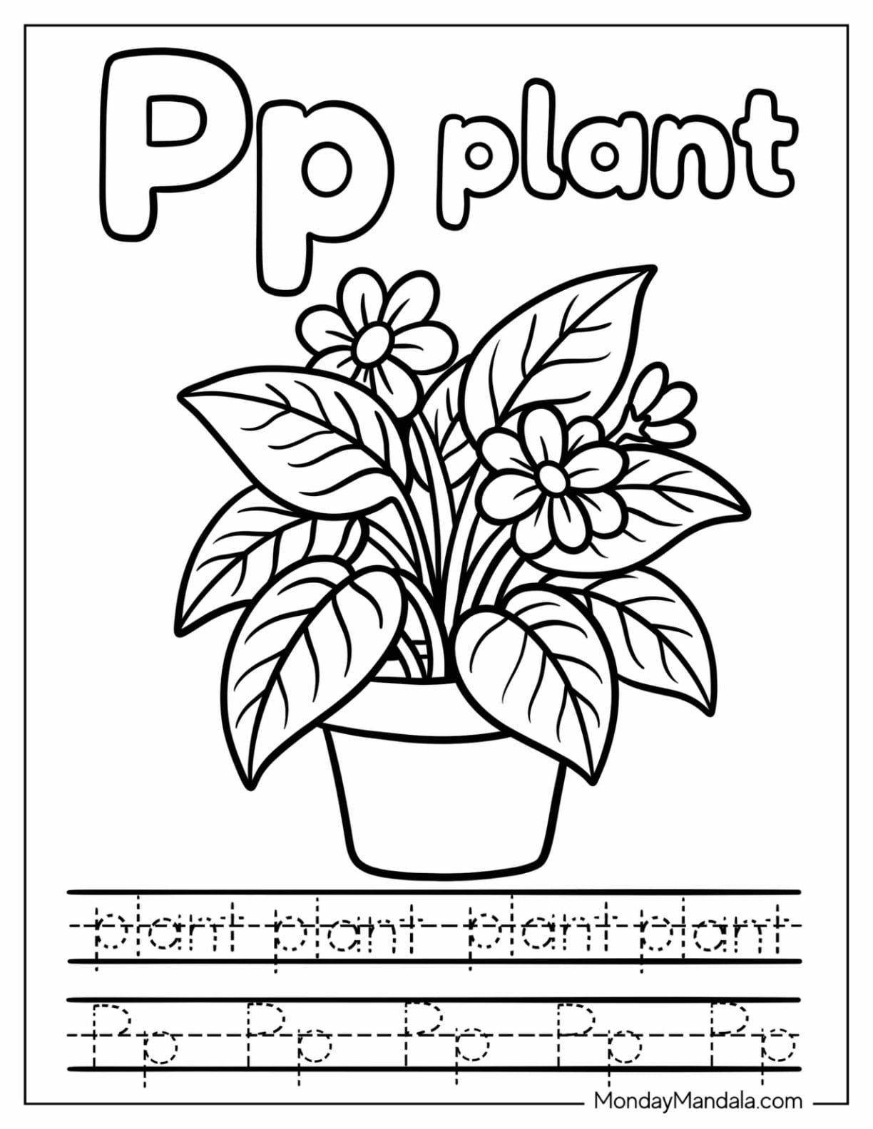 Letter P Coloring Page for Plant Traceable Worksheet