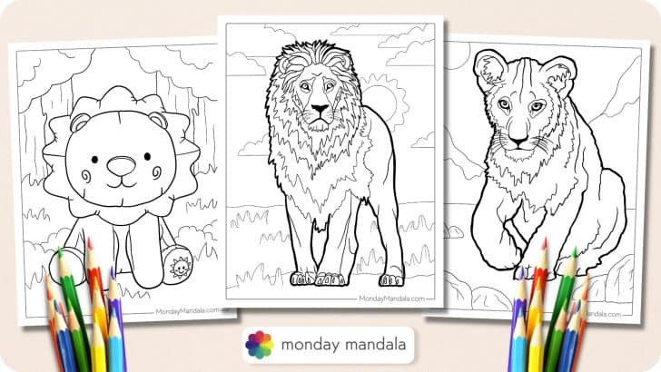 Lion Coloring Pages Featured Image