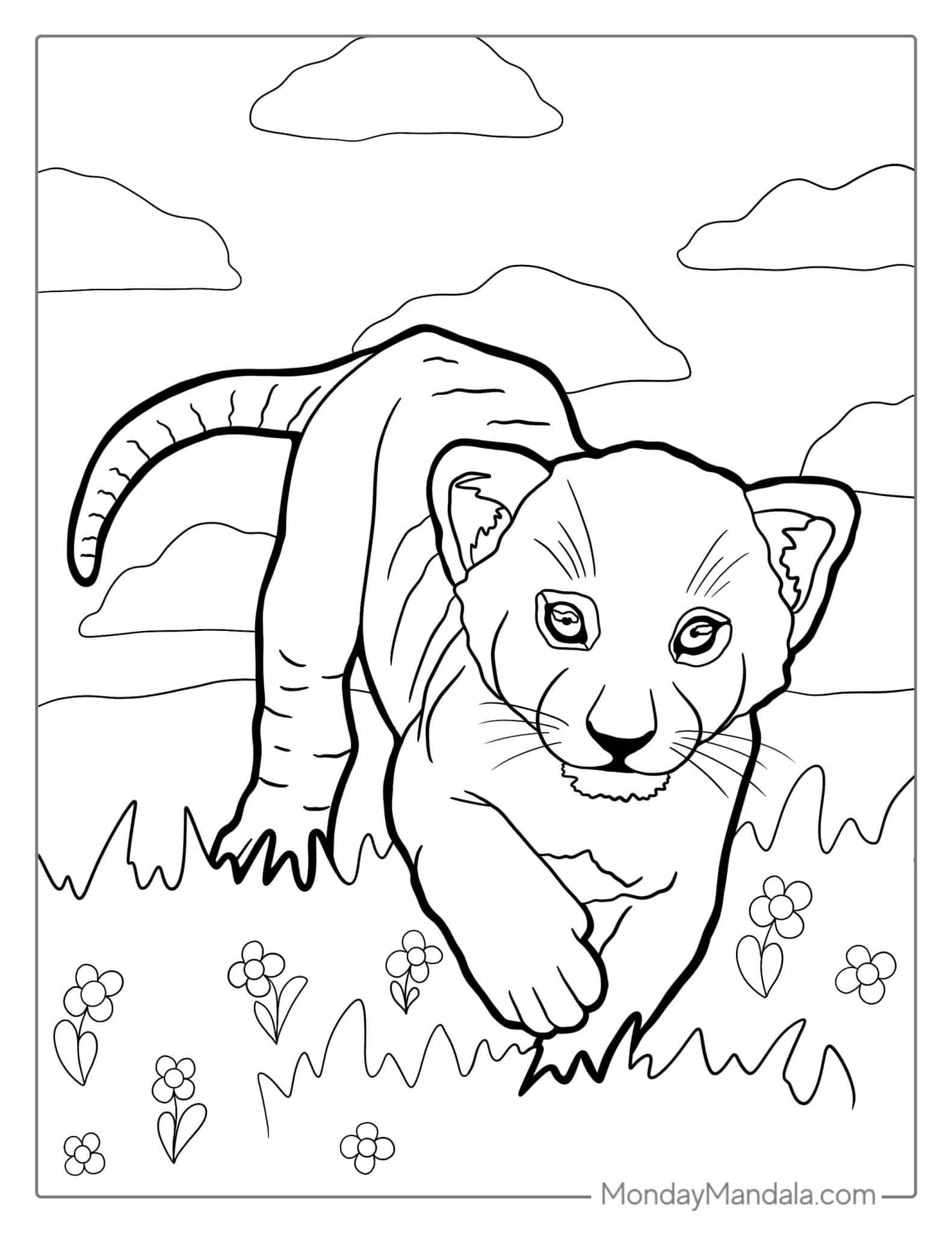 28 Lion Coloring Pages (Free PDF Printables)