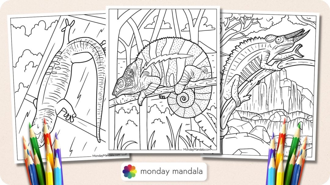 Pascal Lizards Coloring Sheet 24 Lizard Coloring Pages (Free PDF Printables)