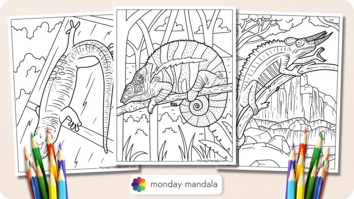 Lizard-Coloring-Pages-Featured-Image