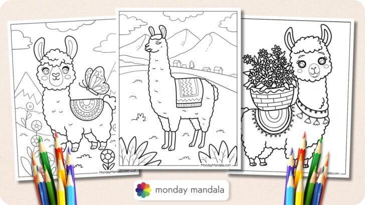 Llama Coloring Pages Featured Image v2