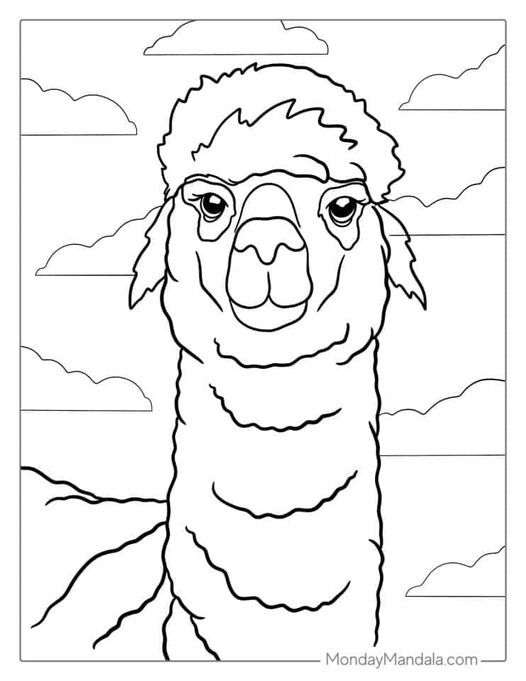 34 Llama Coloring Pages (Free PDF Printables)