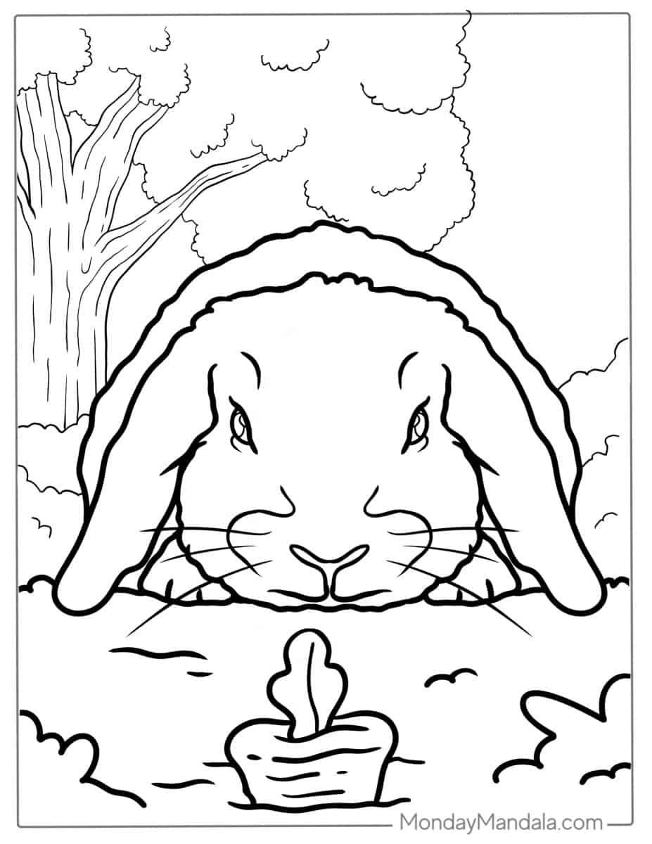 44 Rabbit Coloring Pages (Free PDF Printables)