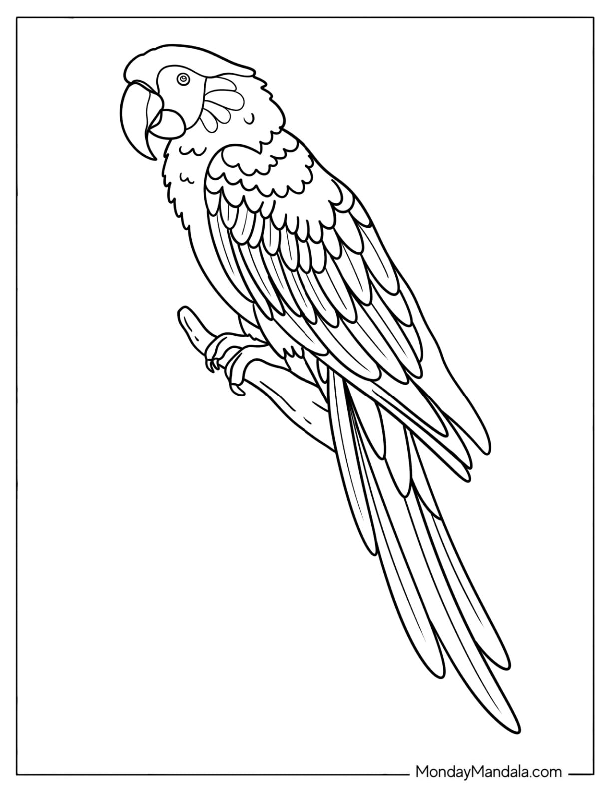 Macaw Parrot Resting on a Branch Coloring Page
