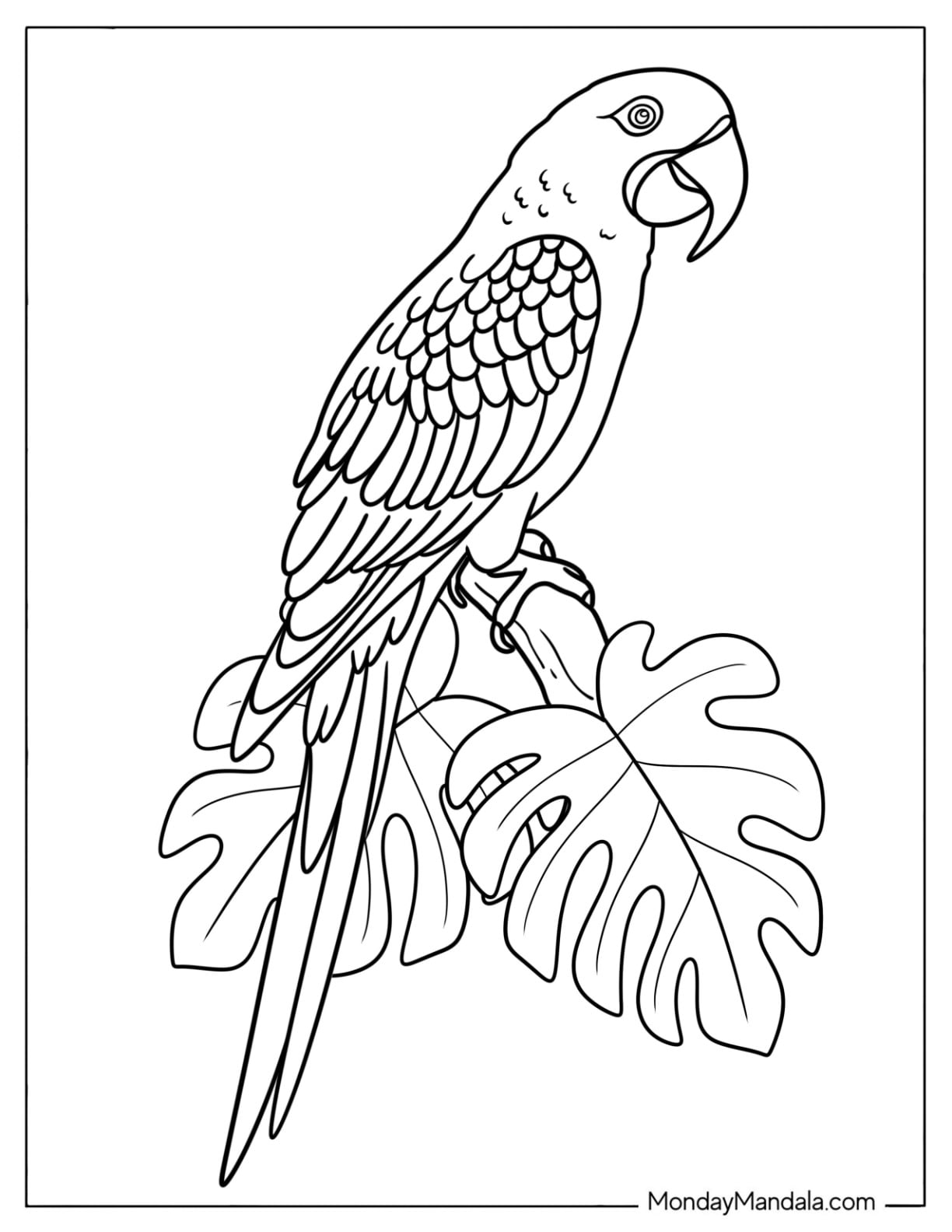 Macaw Parrot Standing on Tropical Leaves Coloring Page