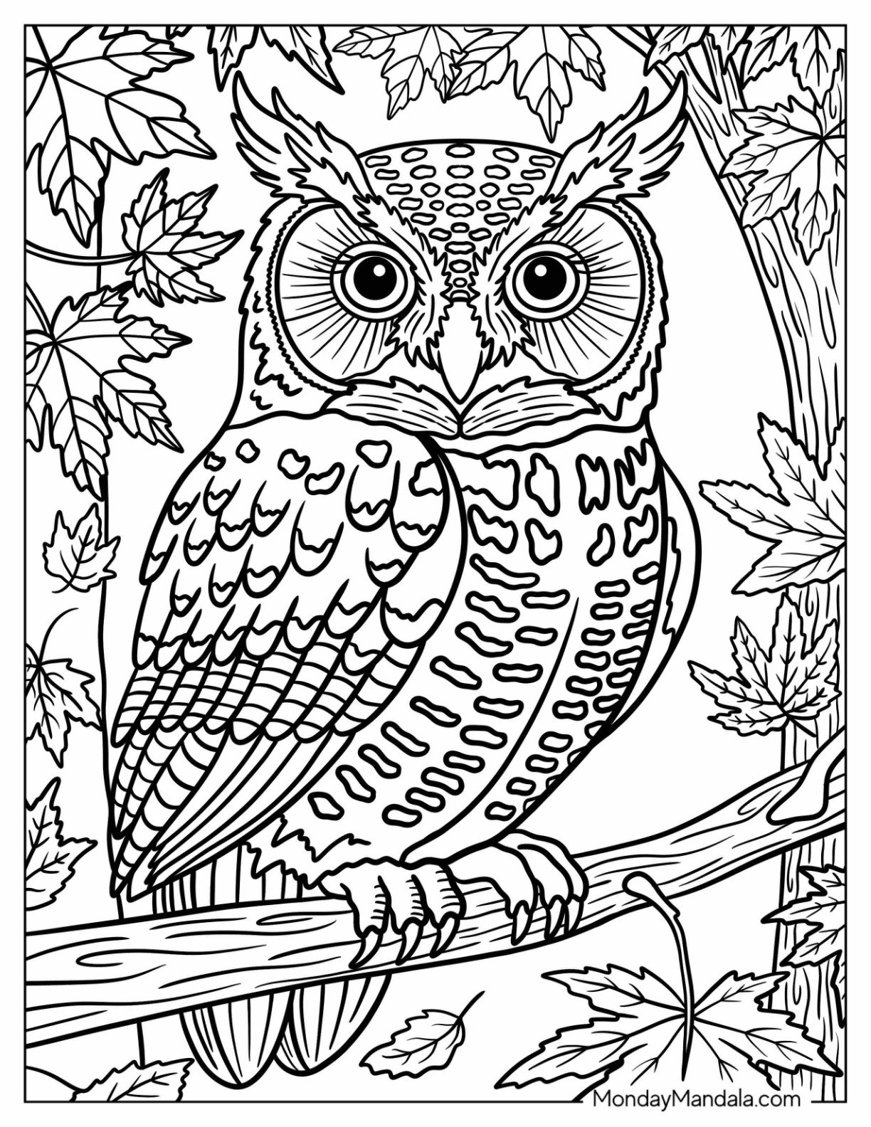 Autumn & Fall Coloring Page for Adults of Majestic Owl Perched on Branch