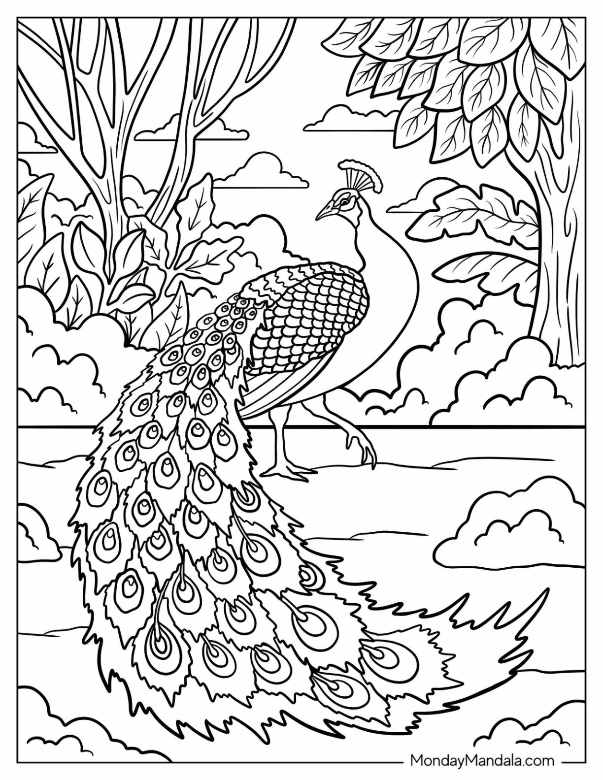 Majestic Peacock Coloring Page in Forest Landscape with Trees and Clouds
