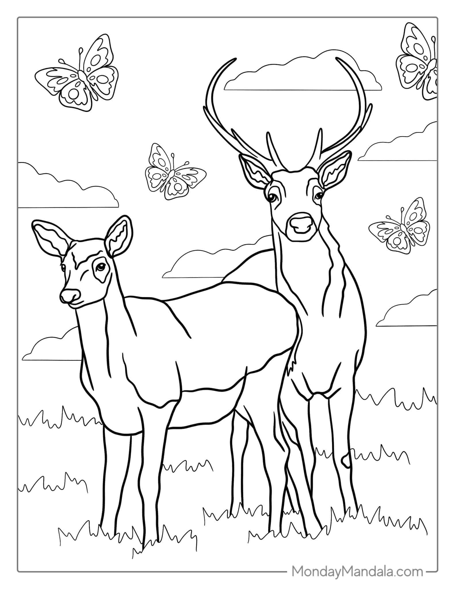 30 Deer Coloring Pages (Free PDF Printables)