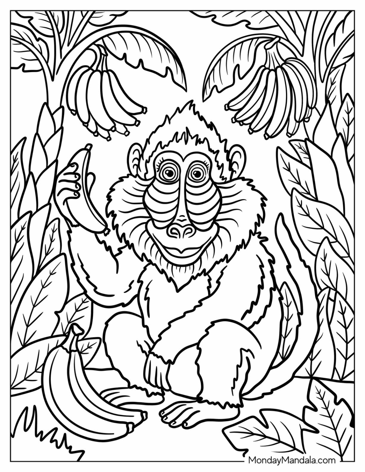 Mandrill Monkey Coloring Page Holding a Banana in the Jungle