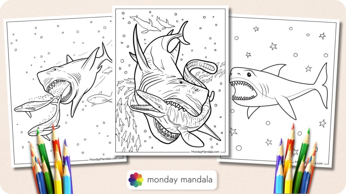 18 Megalodon Coloring Pages (Free PDF Printables)