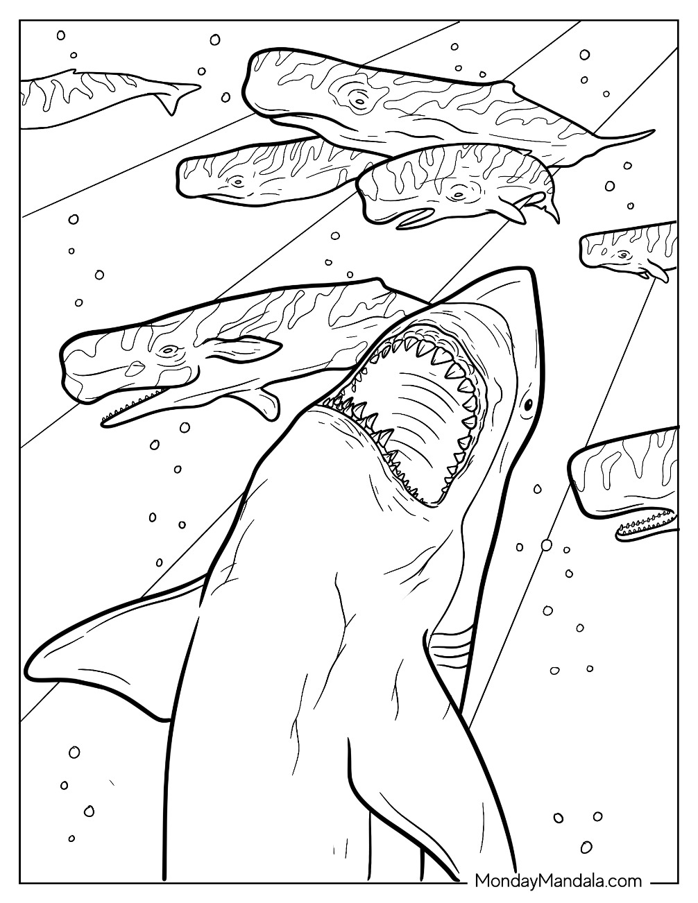 Megalodon Coloring Page Pdf