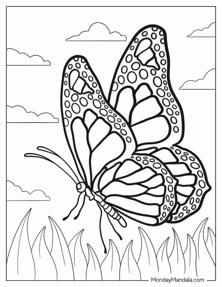 Butterfly Color Page Printable Butterfly Color Page Printable