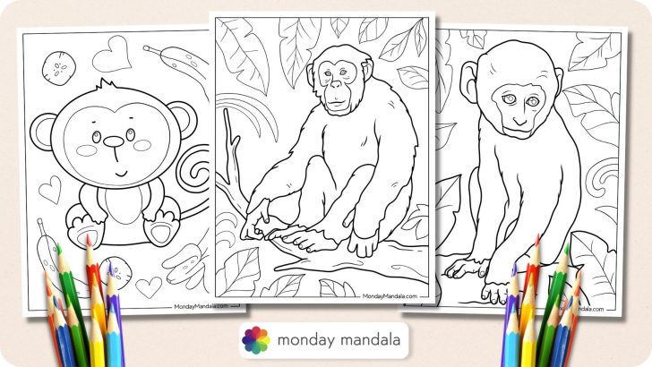 Monkey Coloring Pages Featured Image