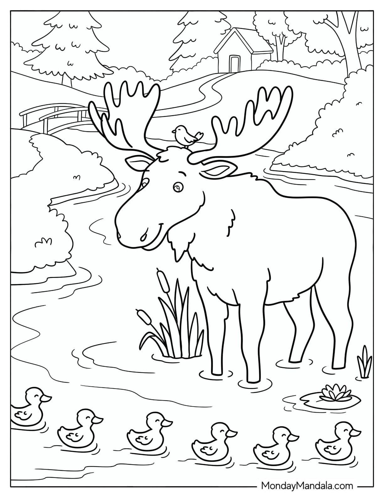 Moose Standing in a Pond with Ducklings Coloring Page