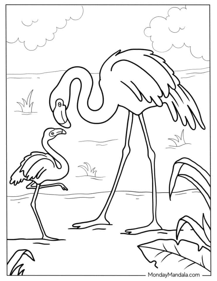 29 Flamingo Coloring Pages (Free PDF Printables)