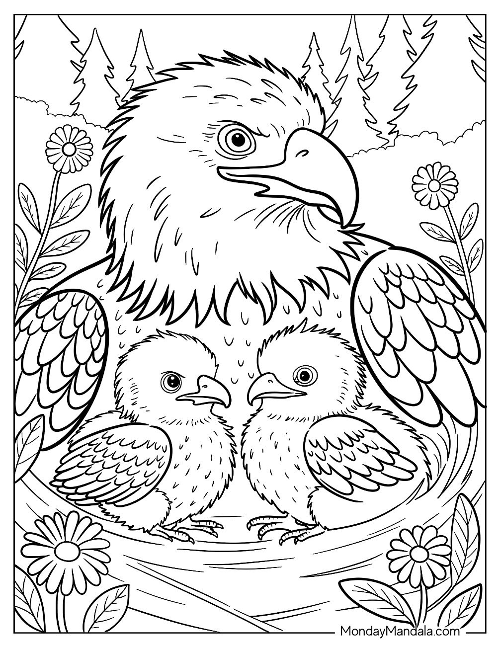 Mother Bald Eagle Coloring Page Shielding Her Eaglets