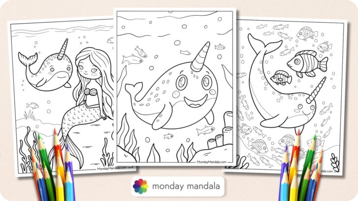 Narwhal Coloring Pages Featured Image v2