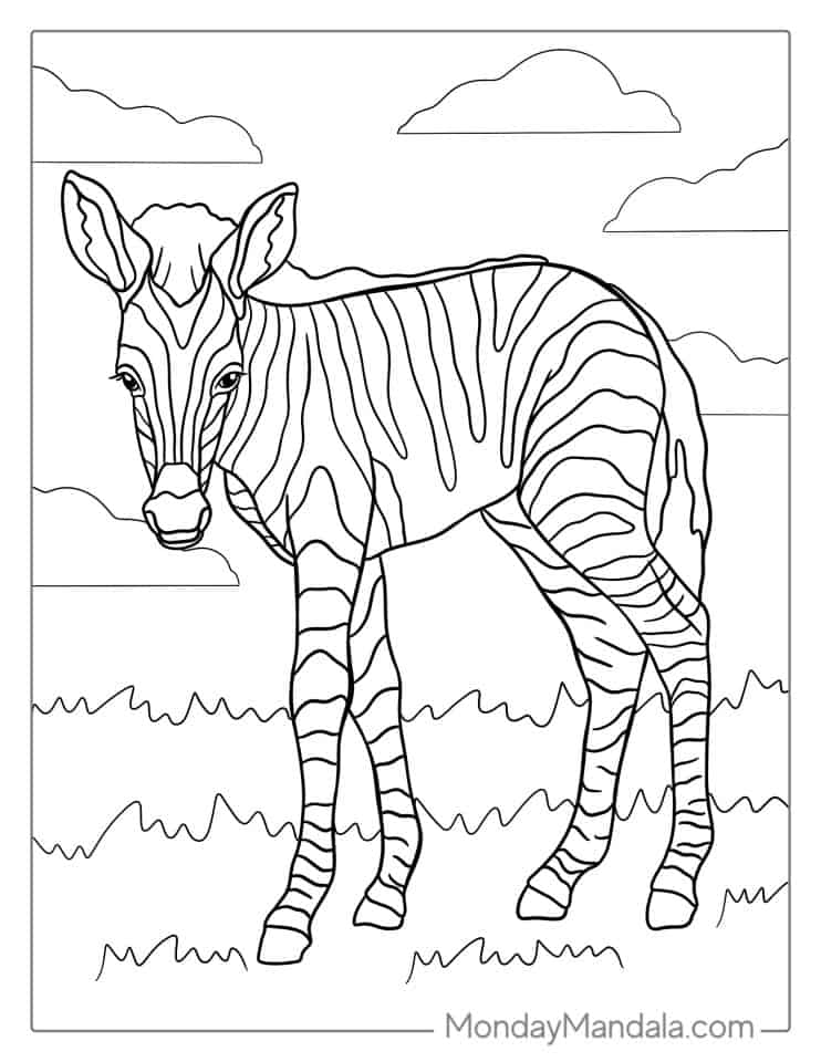 20 Zebra Coloring Pages (Free PDF Printables)