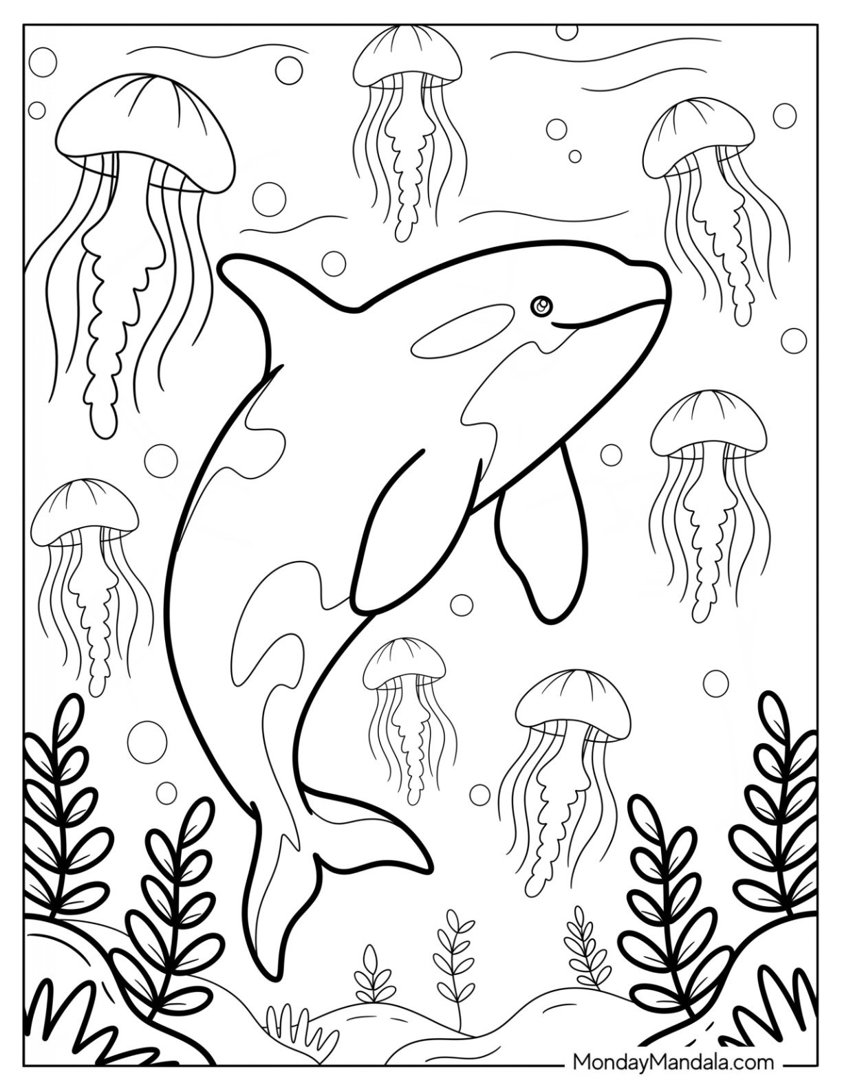 Orca Surrounded by Jellyfish and Sea Plants Coloring Sheet for Kids