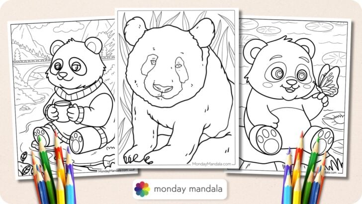 Panda Coloring Pages Featured Image v2