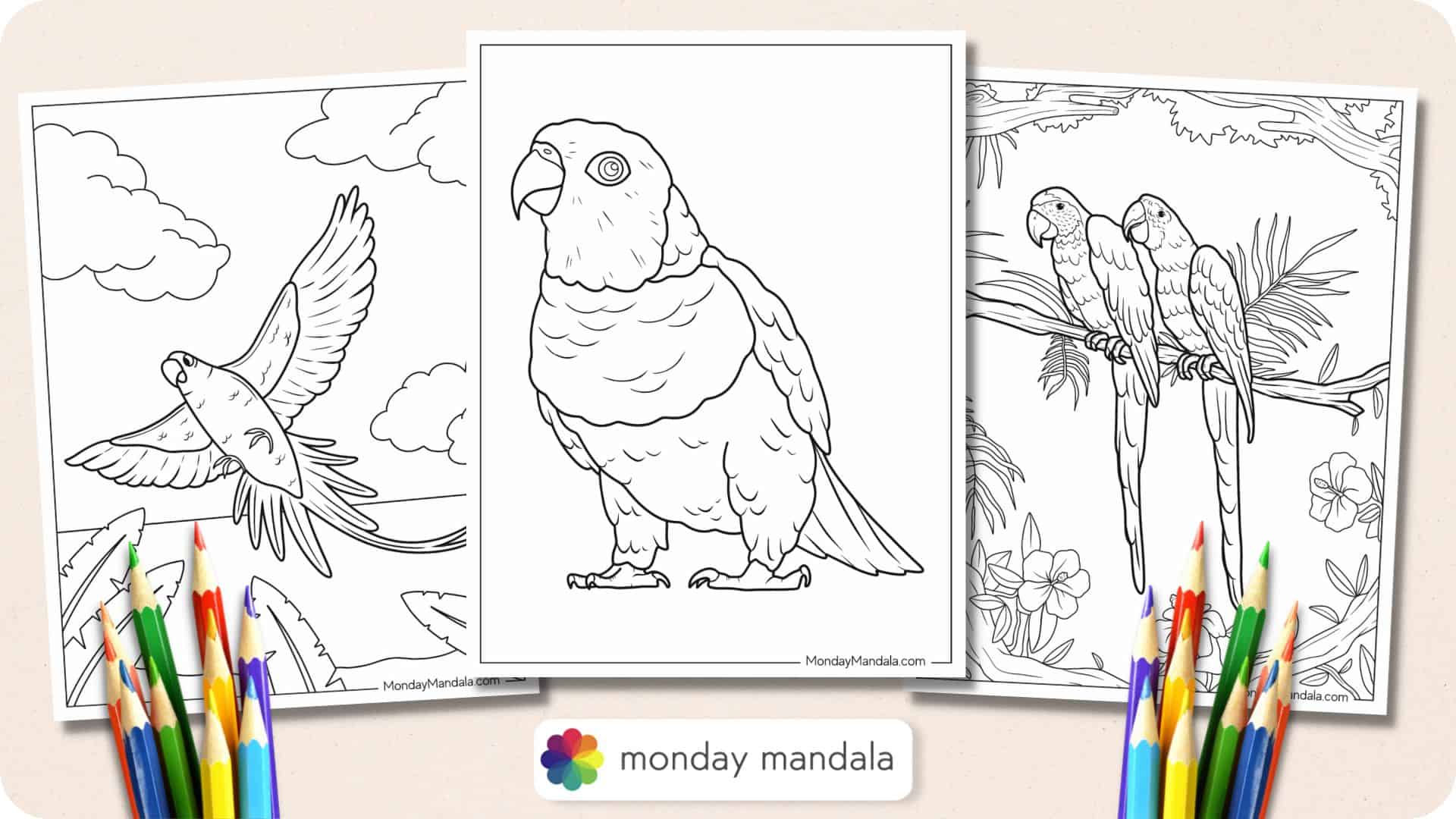 macaw coloring pages