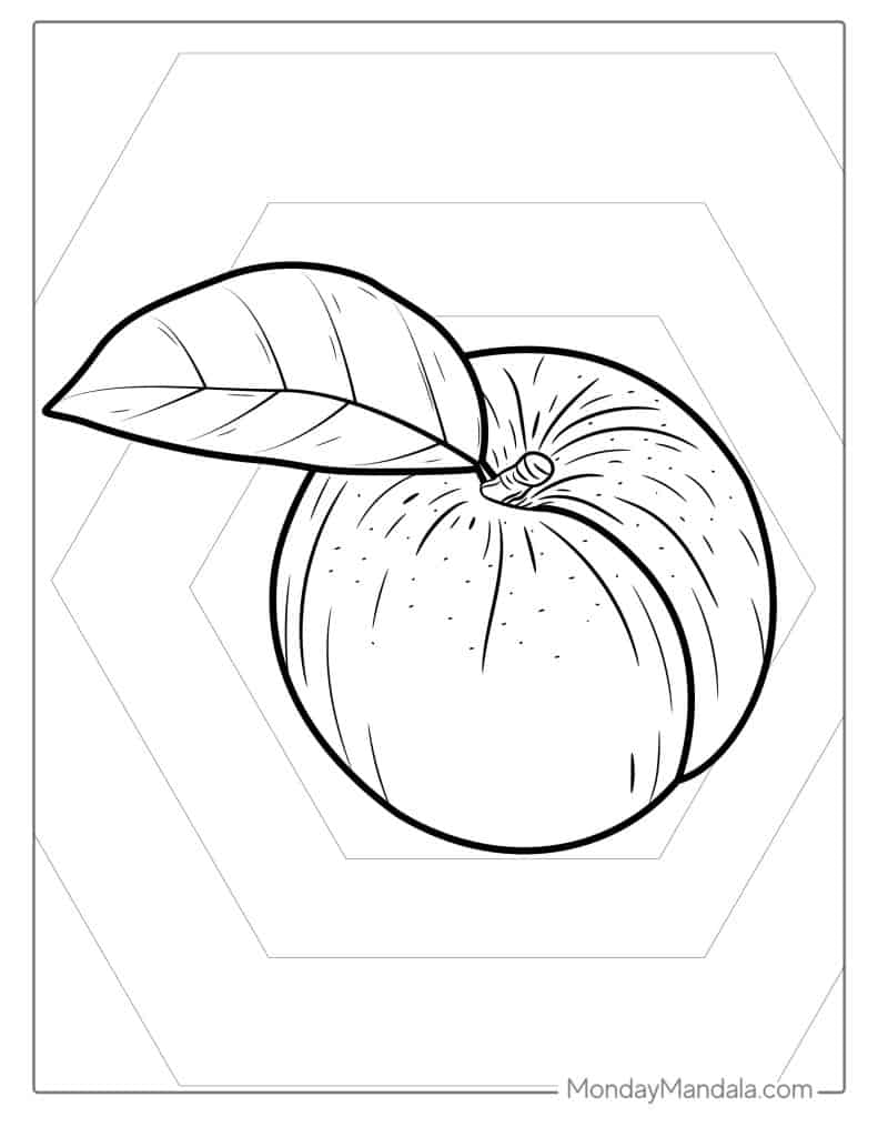 Orange Clipart Coloring Orange Clipart Coloring
